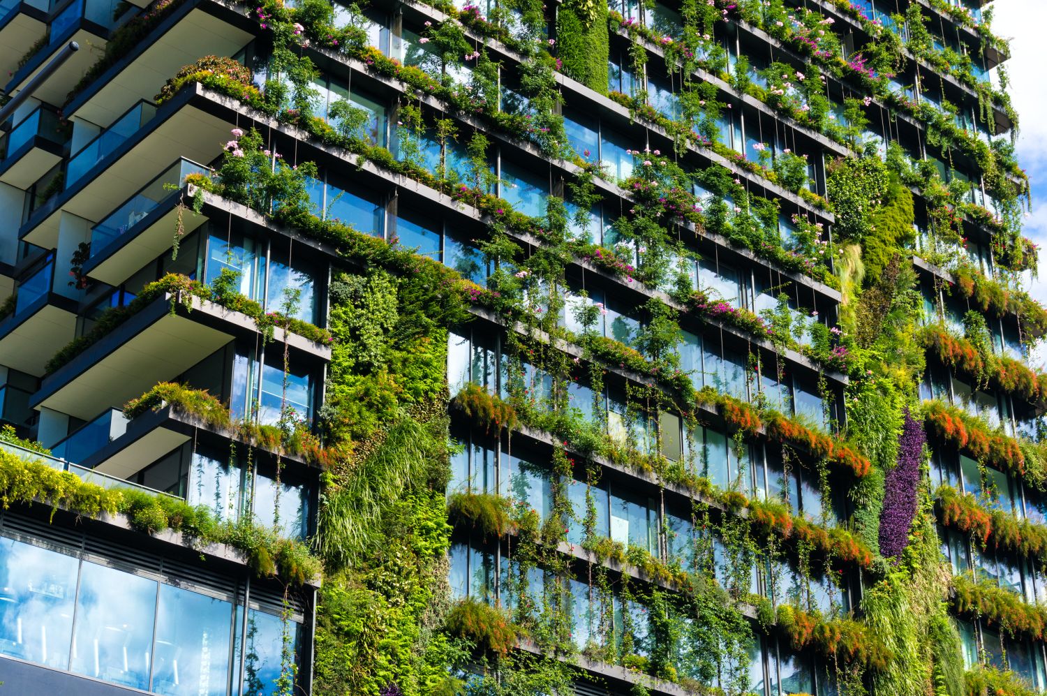 Diploma in Greenhouse Technician